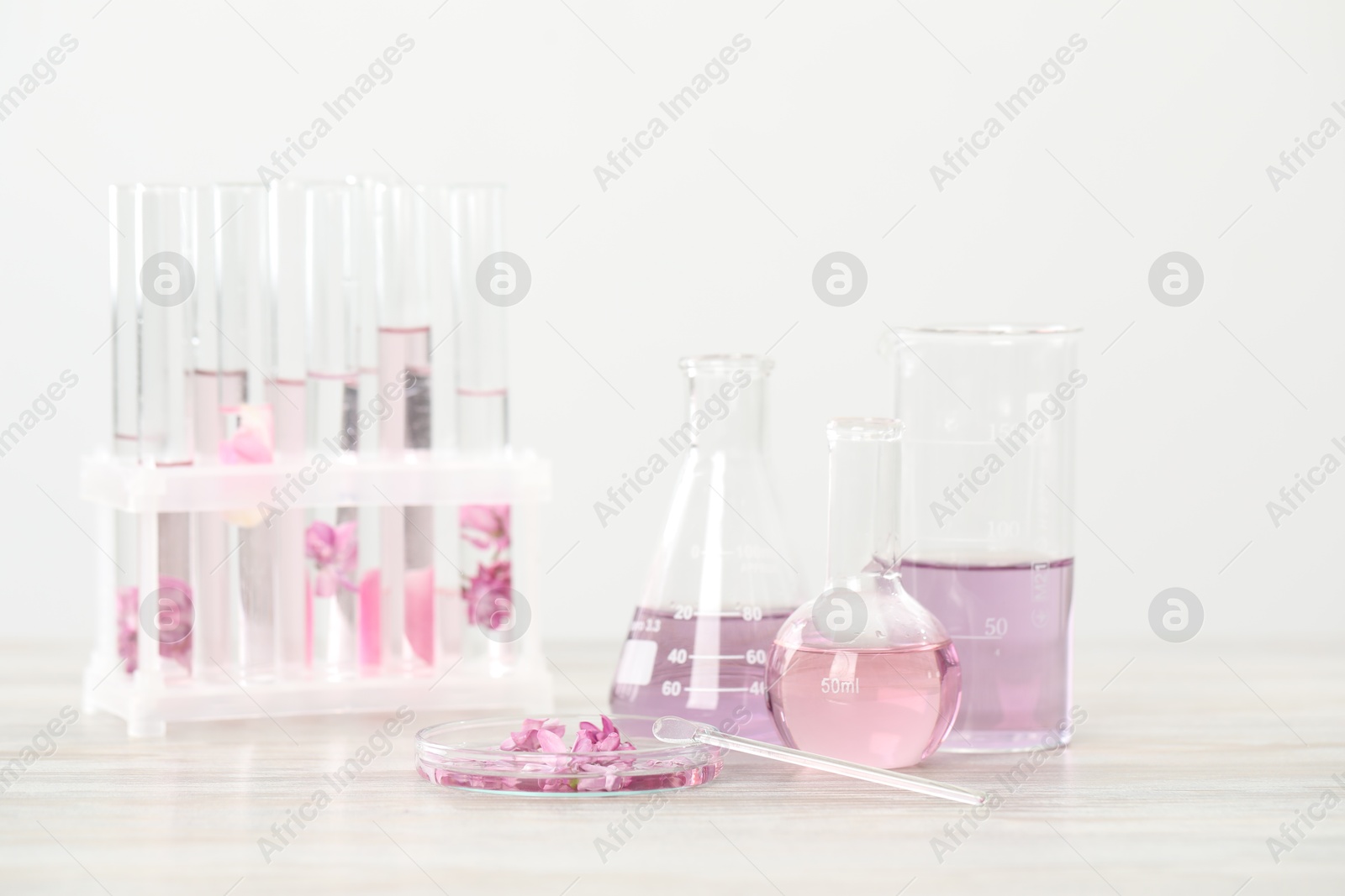 Making luxury perfume. Essential oils in glassware and flowers on white wooden table, closeup Photo of Making luxury perfume. Essential oils in glassware and flowers on white wooden table, closeup