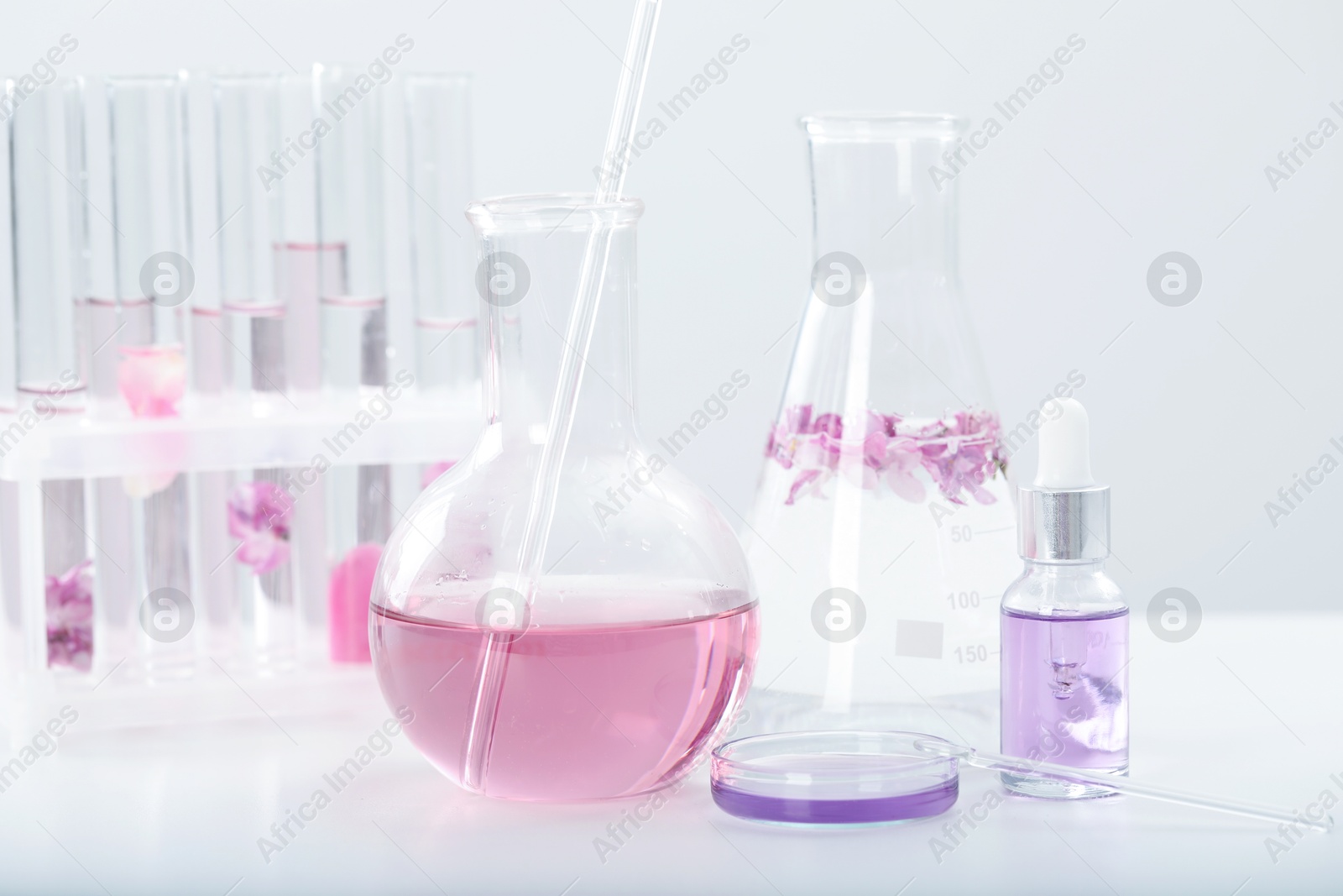 Making luxury perfume. Essential oils in glassware and flowers on white table, closeup Photo of Making luxury perfume. Essential oils in glassware and flowers on white table, closeup