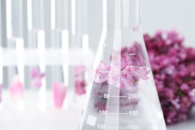 Photo of Making luxury perfume. Essential oils in glassware and flowers on table, closeup