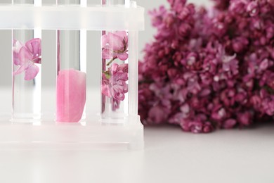 Photo of Making luxury perfume. Essential oils in test tubes and flowers on white table, closeup