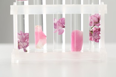 Photo of Making luxury perfume. Essential oils in test tubes and flowers on white table, closeup