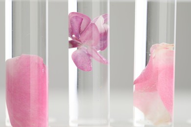 Photo of Making luxury perfume. Essential oils in test tubes and flowers on light background, closeup