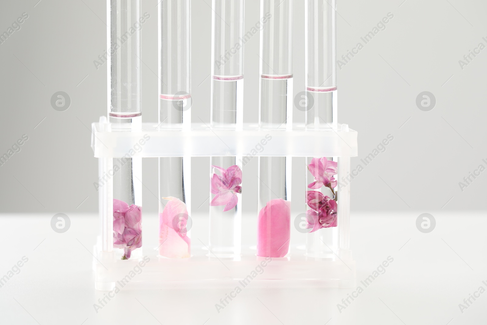 Making luxury perfume. Essential oils in test tubes and flowers on white table, closeup Photo of Making luxury perfume. Essential oils in test tubes and flowers on white table, closeup