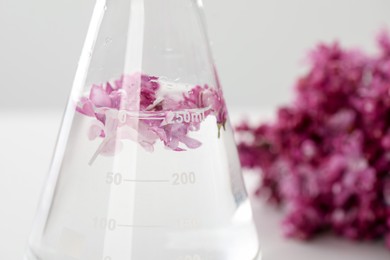 Photo of Making luxury perfume. Essential oil in flask and flowers on table, closeup