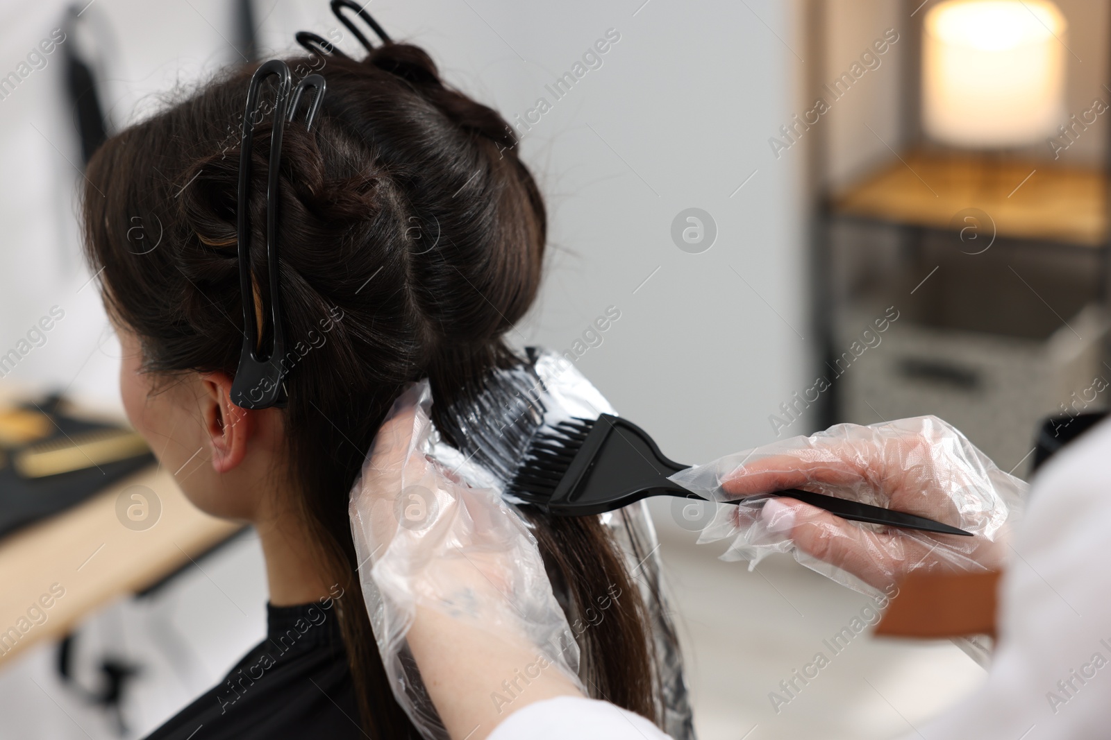 Hairdresser dyeing woman's hair in salon, closeup Photo of Hairdresser dyeing woman's hair in salon, closeup
