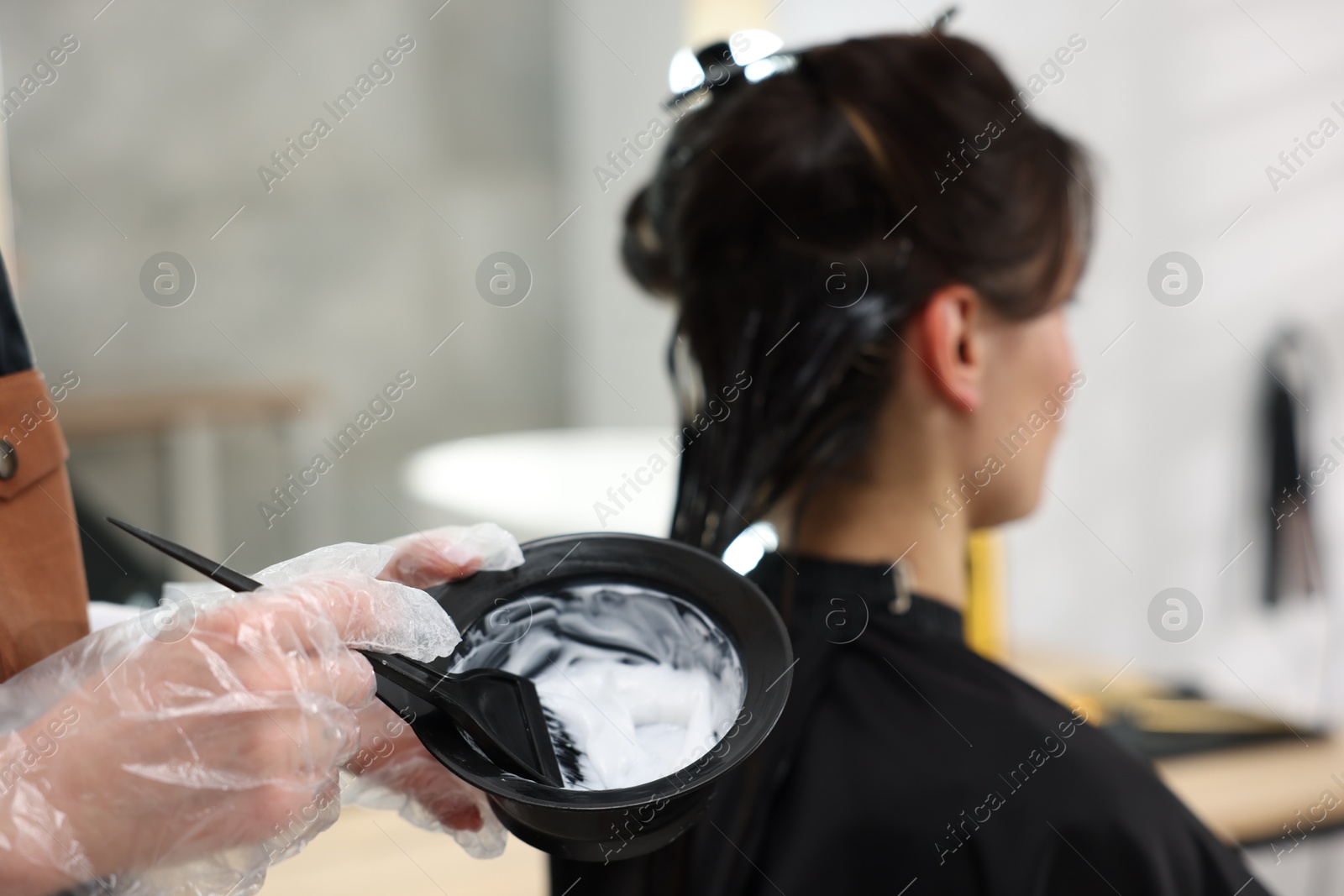 Hairdresser dyeing woman's hair in salon, closeup Photo of Hairdresser dyeing woman's hair in salon, closeup