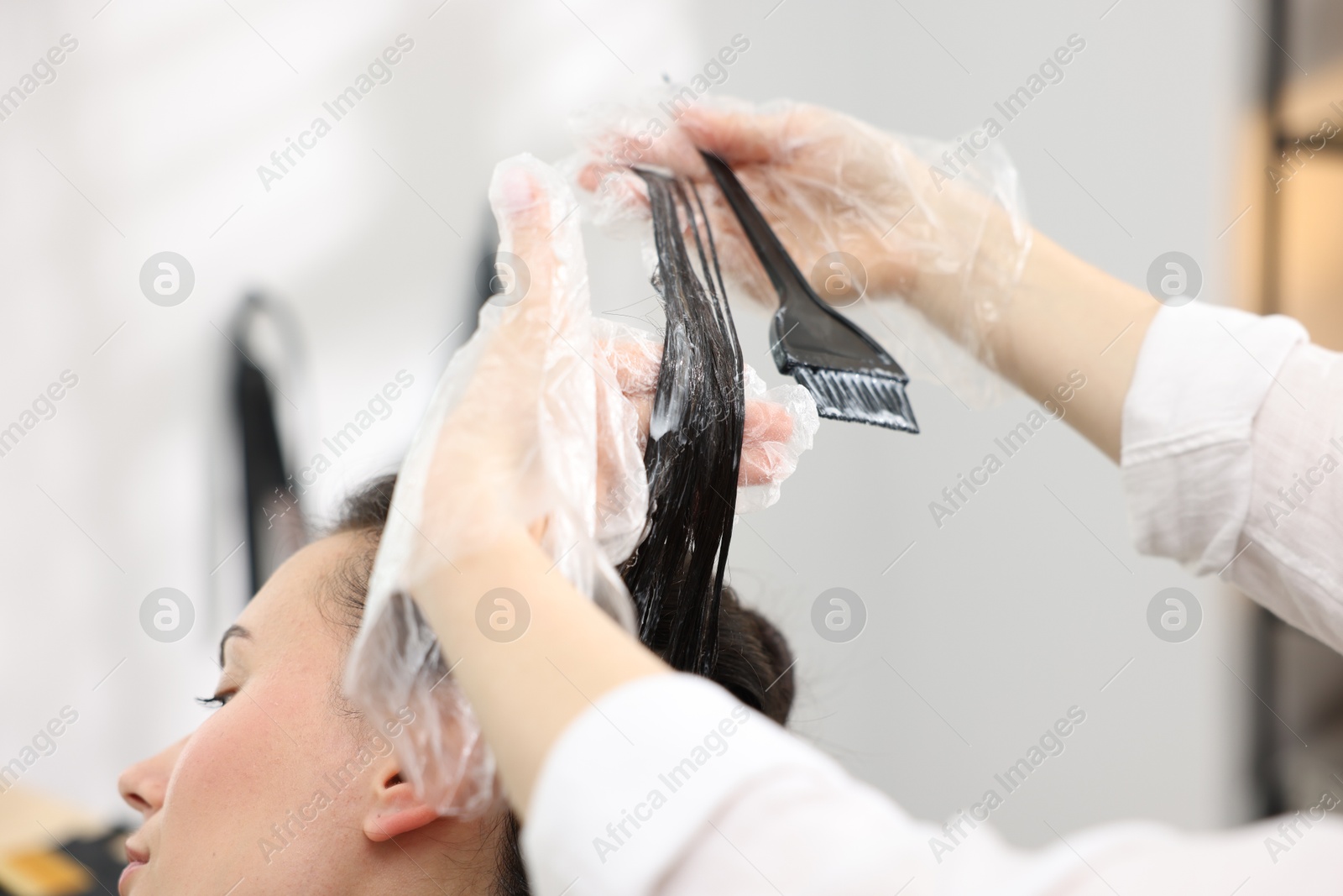 Hairdresser dyeing woman's hair in salon, closeup Photo of Hairdresser dyeing woman's hair in salon, closeup