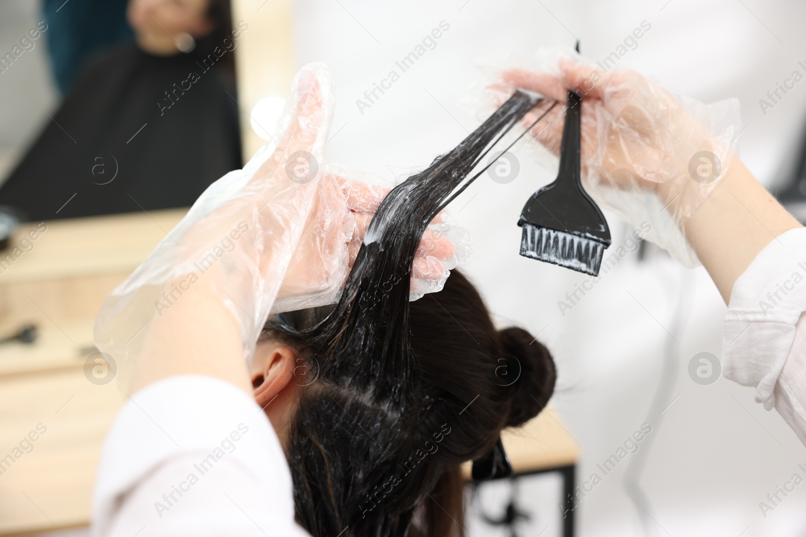 Hairdresser dyeing woman's hair in salon, closeup Photo of Hairdresser dyeing woman's hair in salon, closeup