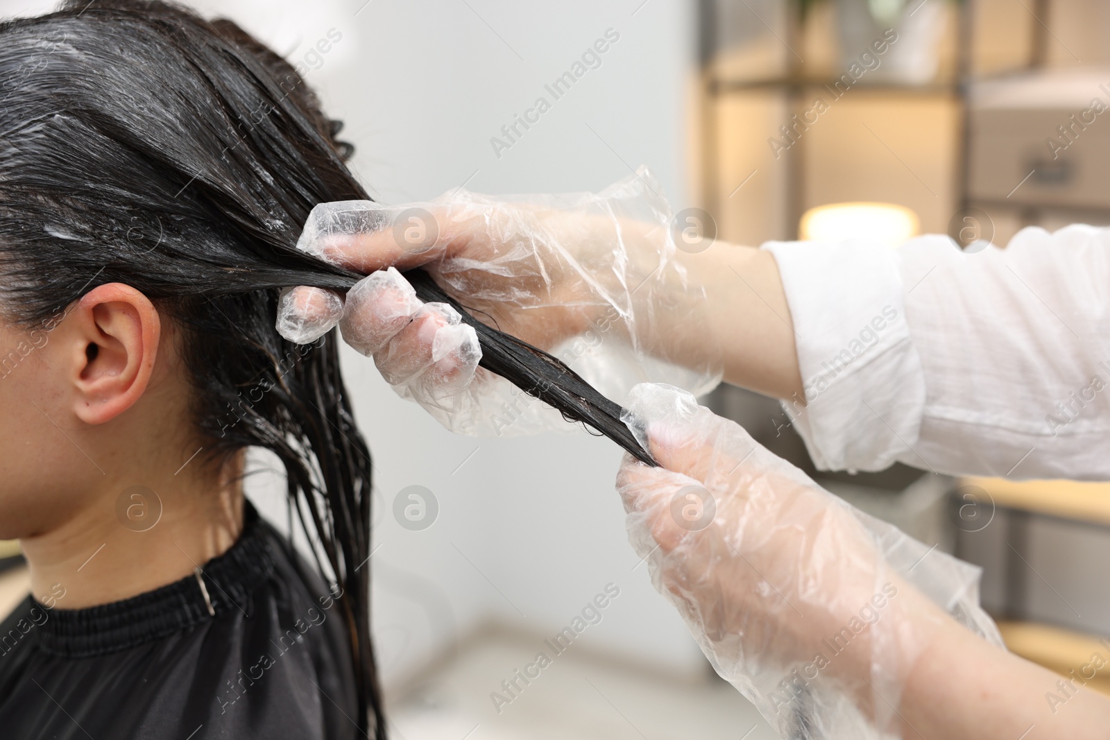 Hairdresser dyeing woman's hair in salon, closeup Photo of Hairdresser dyeing woman's hair in salon, closeup