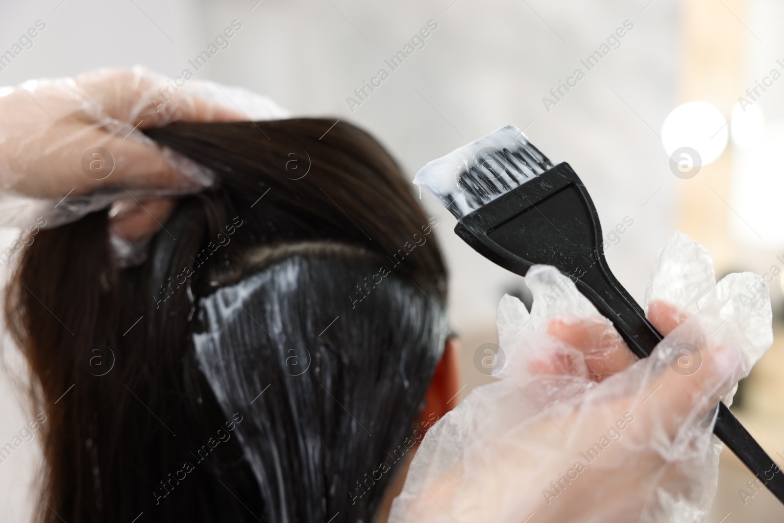 Hairdresser dyeing woman's hair in salon, closeup Photo of Hairdresser dyeing woman's hair in salon, closeup