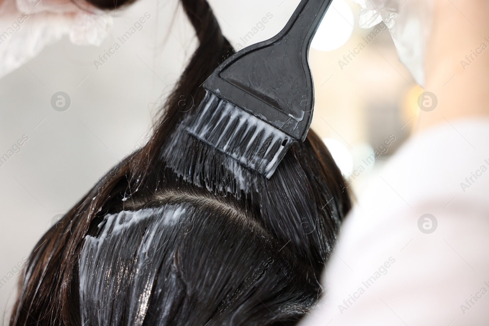 Hairdresser dyeing woman's hair in salon, closeup Photo of Hairdresser dyeing woman's hair in salon, closeup