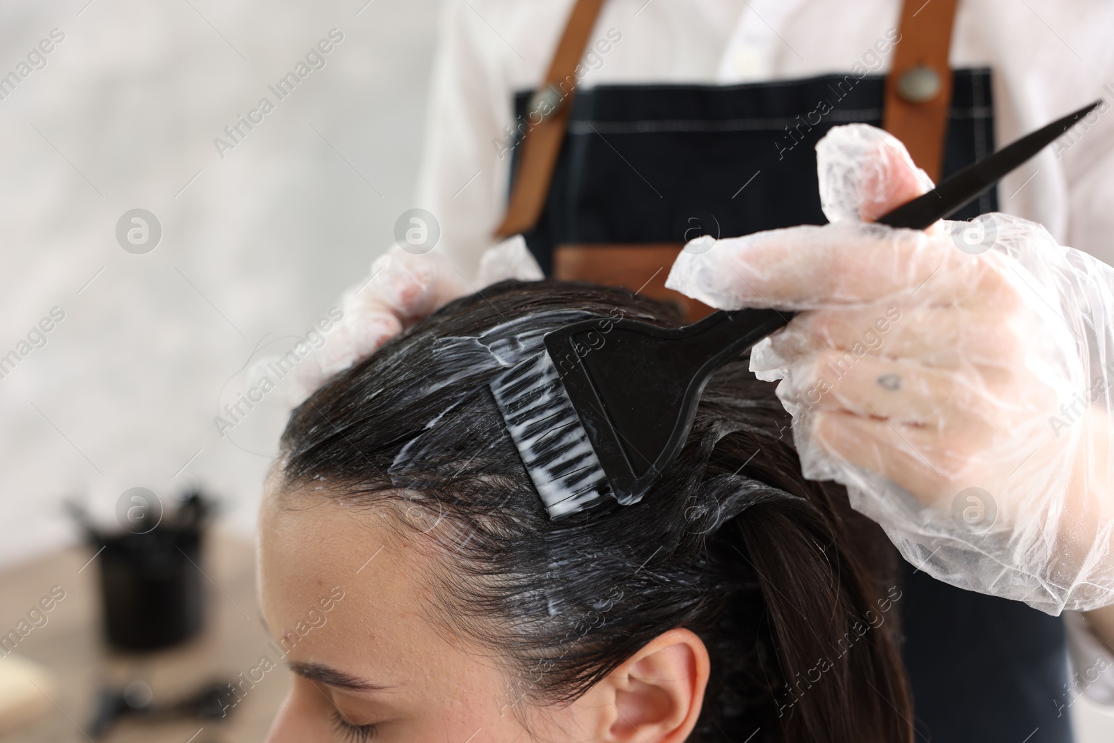Hairdresser dyeing woman's hair in salon, closeup Photo of Hairdresser dyeing woman's hair in salon, closeup