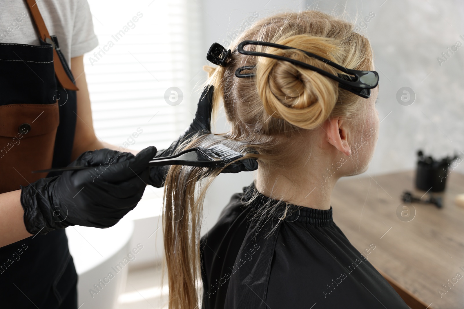 Hairdresser applying dye on woman's hair in salon, closeup Photo of Hairdresser applying dye on woman's hair in salon, closeup