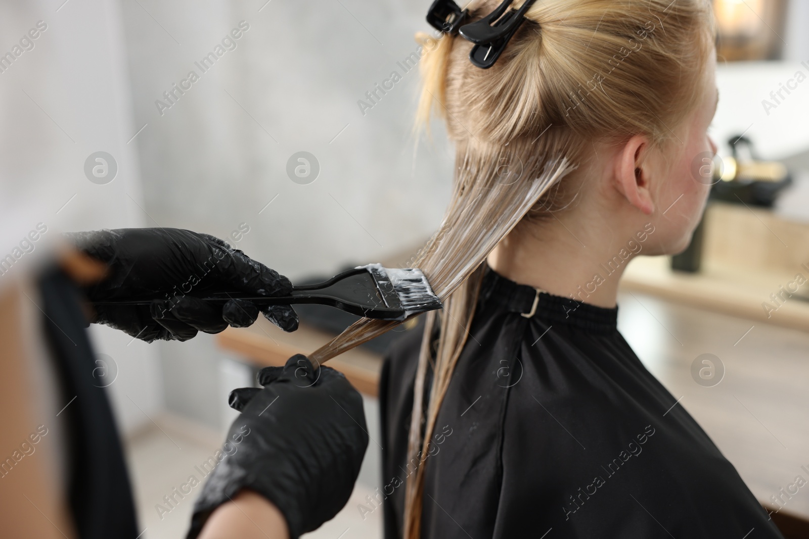 Hairdresser applying dye on woman's hair in salon, closeup Photo of Hairdresser applying dye on woman's hair in salon, closeup