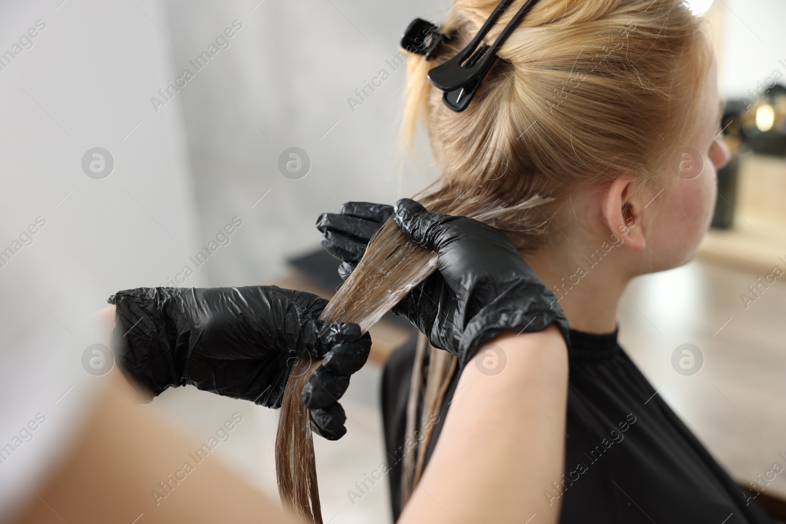 Hairdresser applying dye on woman's hair in salon, closeup Photo of Hairdresser applying dye on woman's hair in salon, closeup