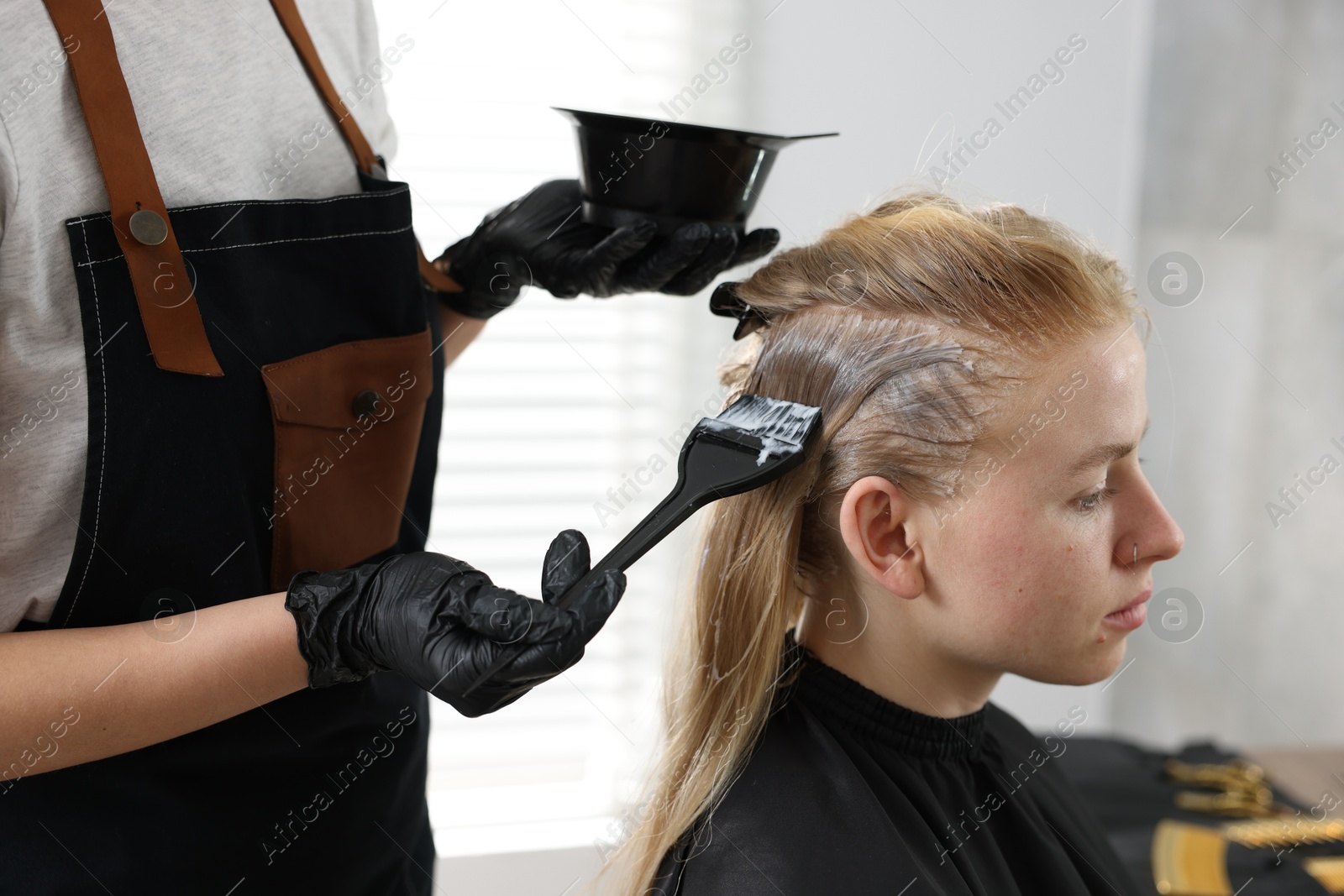 Hairdresser applying dye on woman's hair in salon, closeup Photo of Hairdresser applying dye on woman's hair in salon, closeup