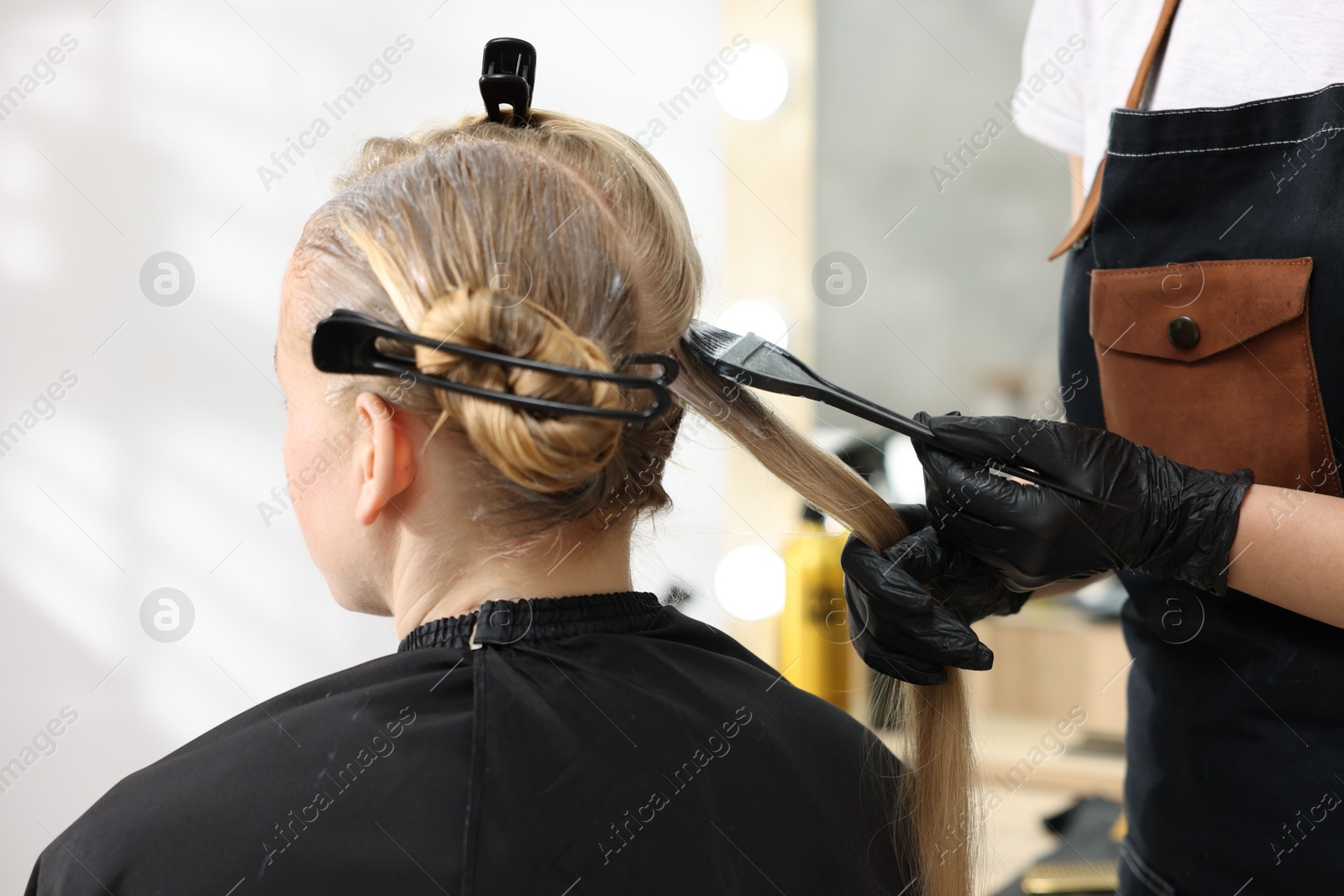 Hairdresser applying dye on woman's hair in salon, closeup Photo of Hairdresser applying dye on woman's hair in salon, closeup