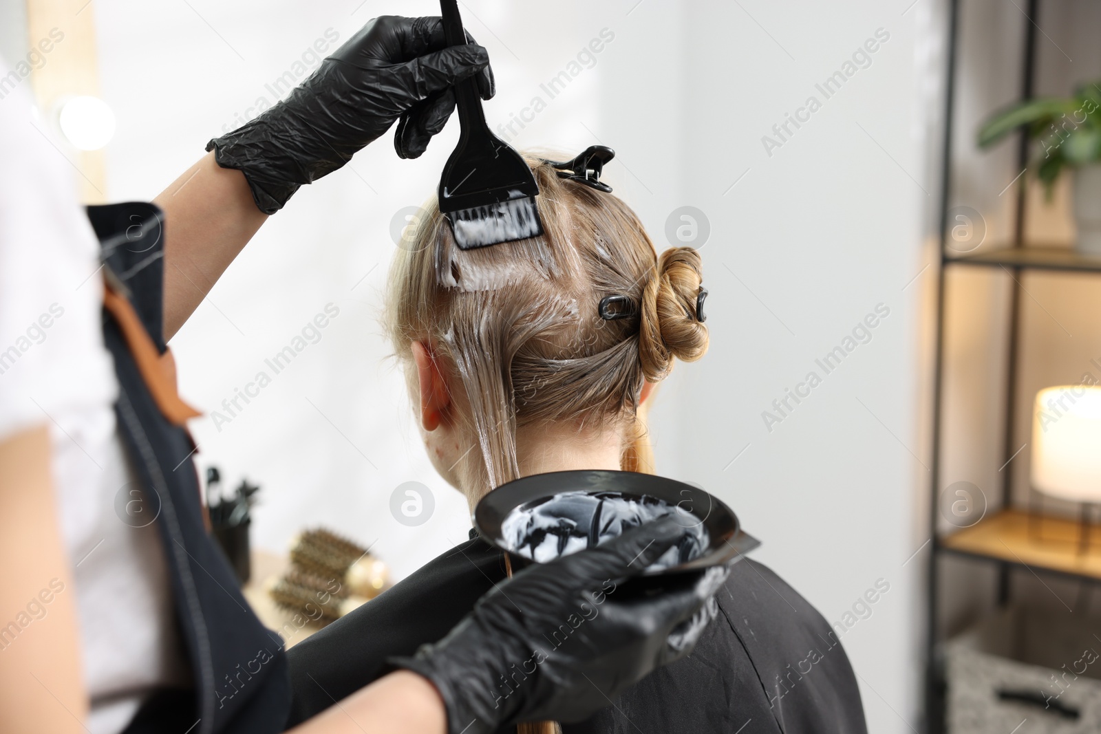 Hairdresser applying dye on woman's hair in salon, closeup Photo of Hairdresser applying dye on woman's hair in salon, closeup