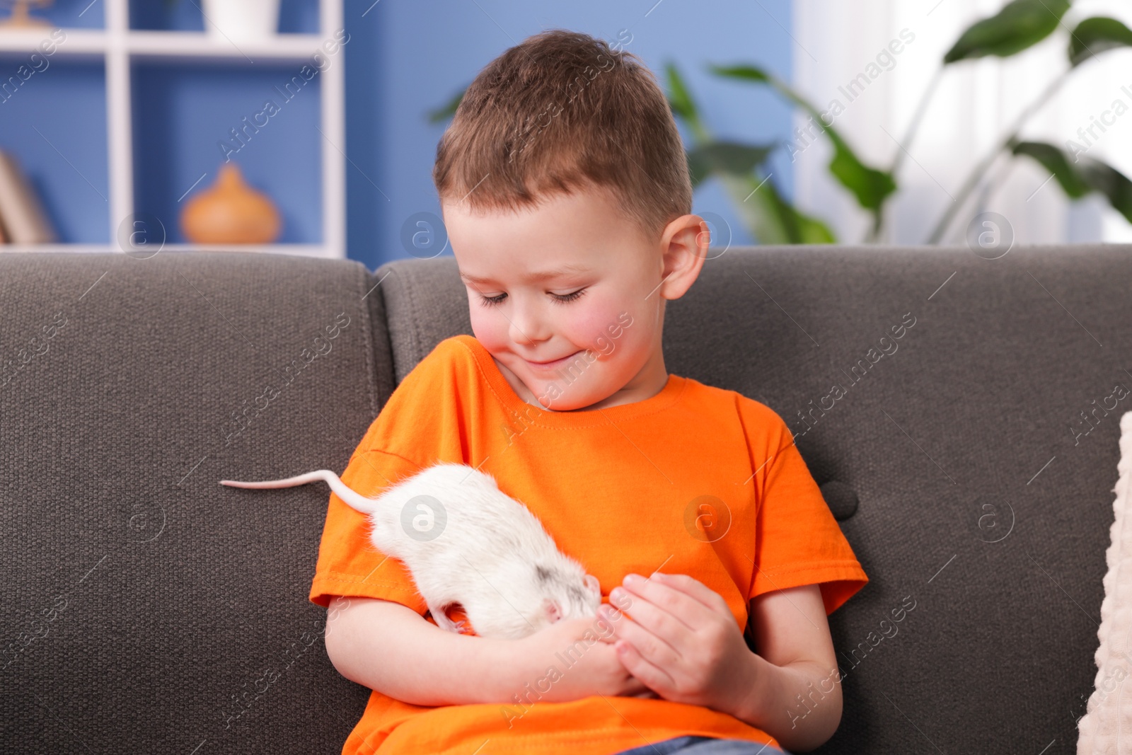 Little boy with his pet rat on sofa at home Photo of Little boy with his pet rat on sofa at home