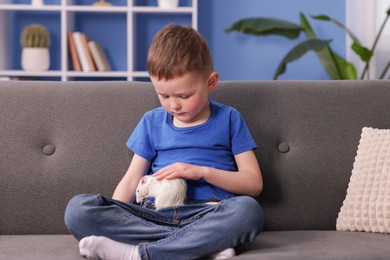 Photo of Little boy with his pet rat on sofa at home