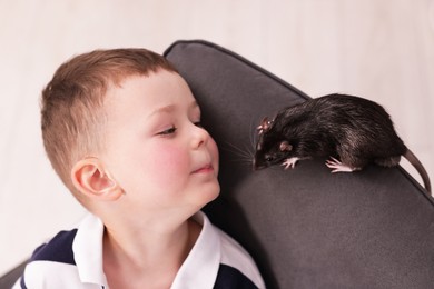 Photo of Little boy with his pet rat on armchair at home