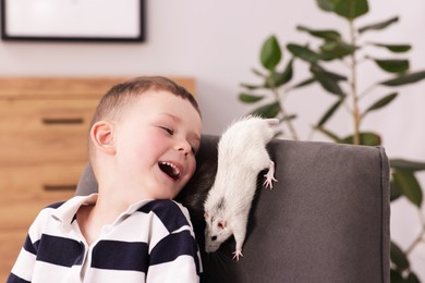 Photo of Little boy with his pet rat on armchair at home