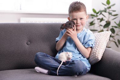 Photo of Little boy with his pet rats on sofa at home. Space for text