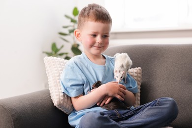 Photo of Little boy with his pet rats on sofa at home
