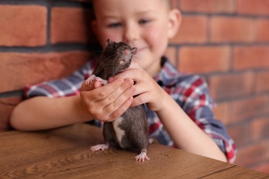 Photo of Little boy with his pet rat at wooden table indoors, closeup