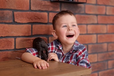 Photo of Little boy with his pet rat at wooden table indoors