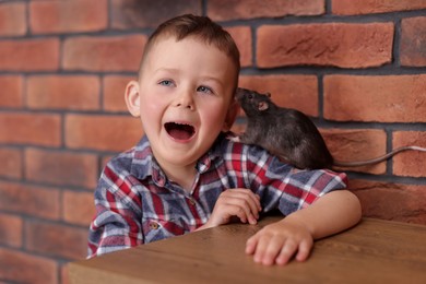 Photo of Little boy with his pet rat at wooden table indoors