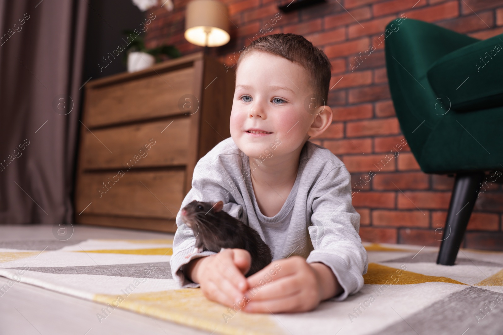 Little boy with his pet rat on floor at home Photo of Little boy with his pet rat on floor at home