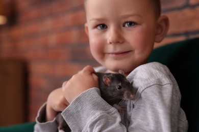 Photo of Little boy with his pet rat on sofa at home, closeup