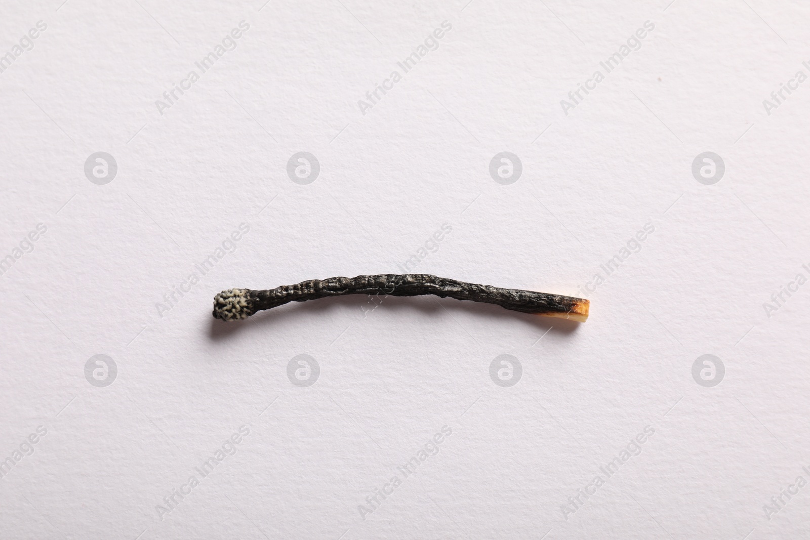 One burnt match on light grey background, top view Photo of One burnt match on light grey background, top view