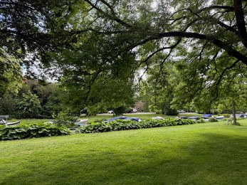 Photo of Beautiful green trees and city canal with moored boats outdoors