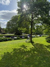 Photo of Beautiful green trees and city canal with moored boats outdoors