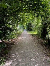 Photo of View of pathway through park with green trees alongside