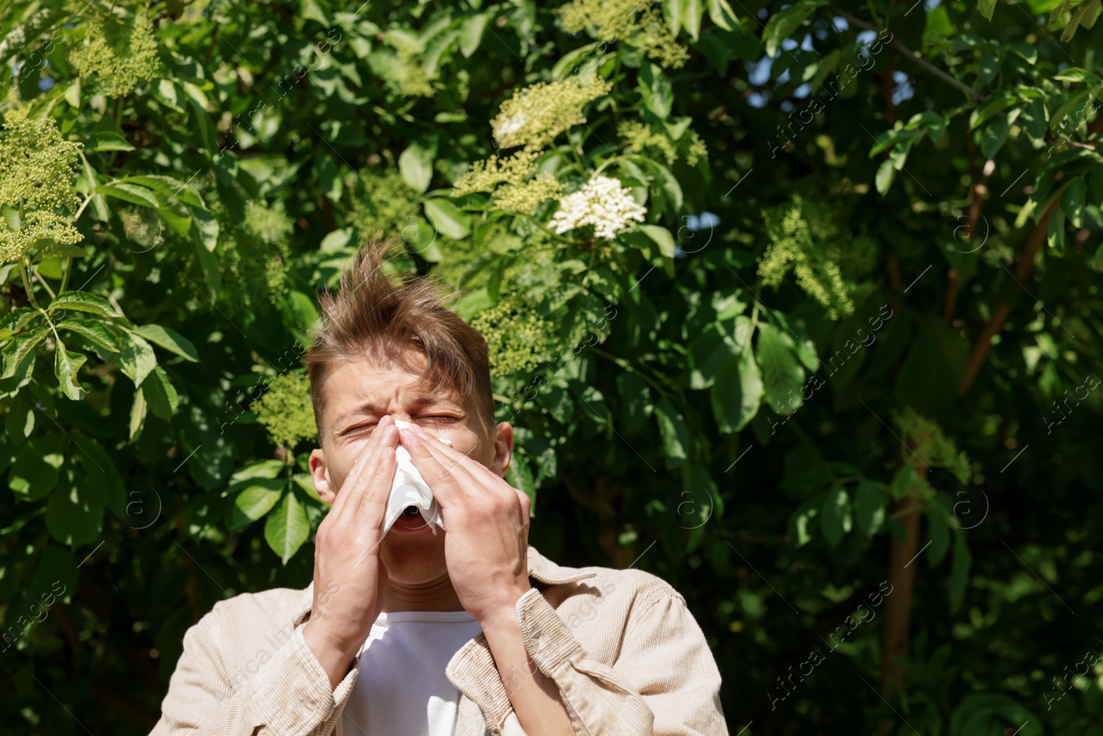 Young man with paper tissue suffering from seasonal pollen allergy near blossoming tree on spring day. Space for text Photo of Young man with paper tissue suffering from seasonal pollen allergy near blossoming tree on spring day. Space for text