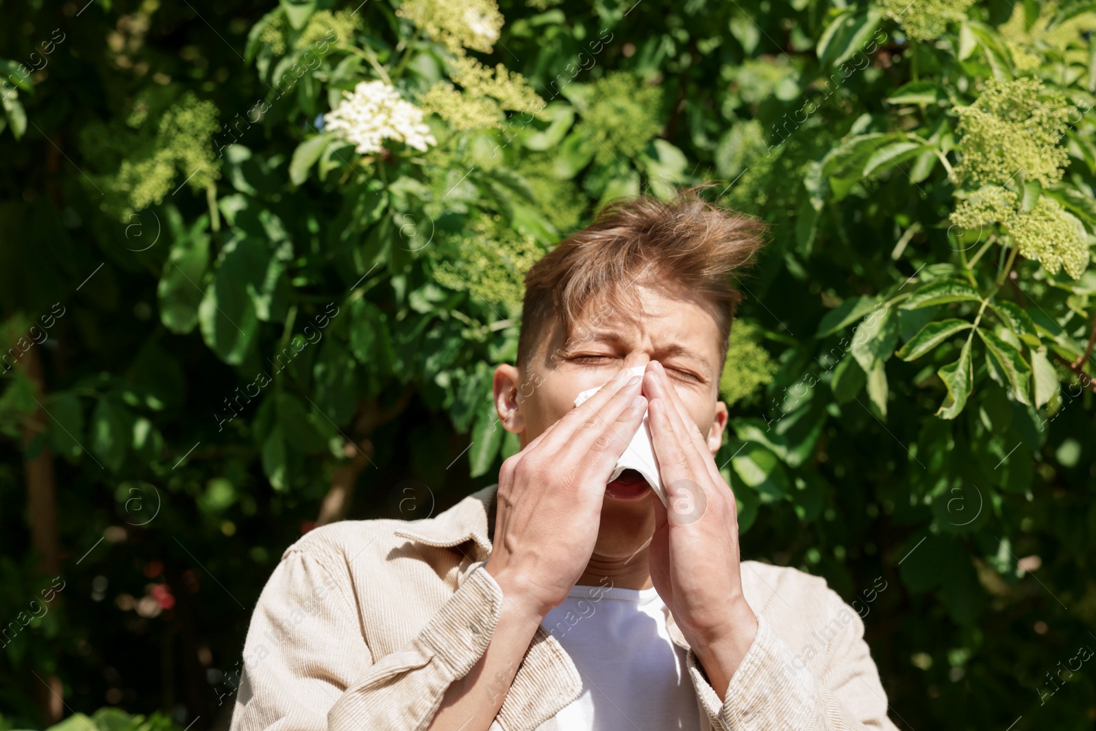 Young man with paper tissue suffering from seasonal pollen allergy near blossoming tree on spring day Photo of Young man with paper tissue suffering from seasonal pollen allergy near blossoming tree on spring day