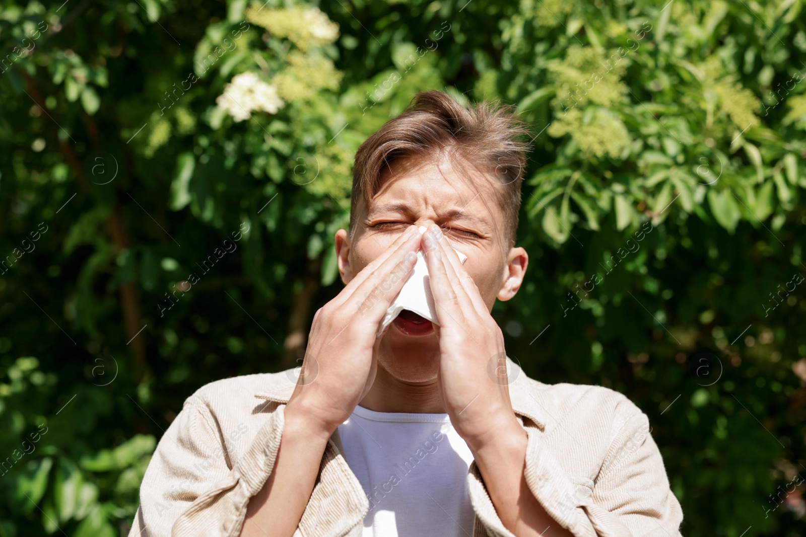 Young man with paper tissue suffering from seasonal pollen allergy near blossoming tree on spring day Photo of Young man with paper tissue suffering from seasonal pollen allergy near blossoming tree on spring day