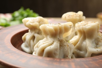Photo of Tasty khinkali with spices in plate, closeup