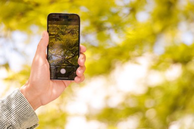 Photo of Man using plant recognition application on smartphone outdoors, closeup. Space for text