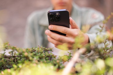 Photo of Man using plant recognition application on smartphone outdoors, closeup