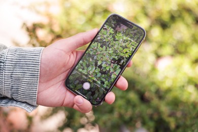 Photo of Man using plant recognition application on smartphone outdoors, closeup