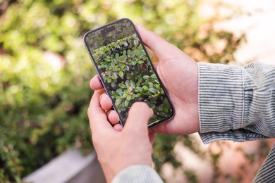 Photo of Man using plant recognition application on smartphone outdoors, closeup