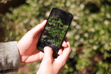 Photo of Man using plant recognition application on smartphone outdoors, closeup