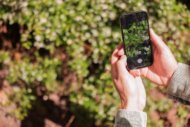 Photo of Man using plant recognition application on smartphone outdoors, closeup. Space for text