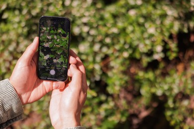 Photo of Man using plant recognition application on smartphone outdoors, closeup. Space for text