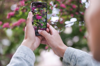 Photo of Man using plant recognition application on smartphone outdoors, closeup