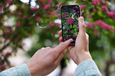 Photo of Man using plant recognition application on smartphone outdoors, closeup